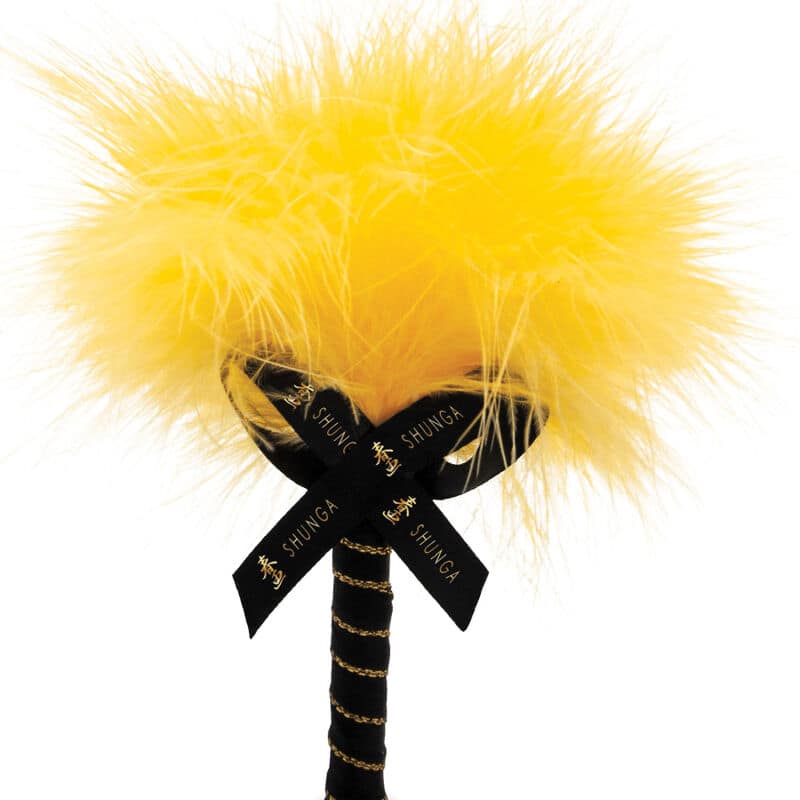 SHUNGA - EDIBLE MASSAGE POWDER KIT MANGO - Image 3