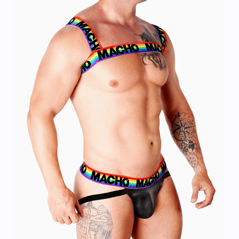 MACHO - DOUBLE HARNESS PRIDE LIMITED - Image 2