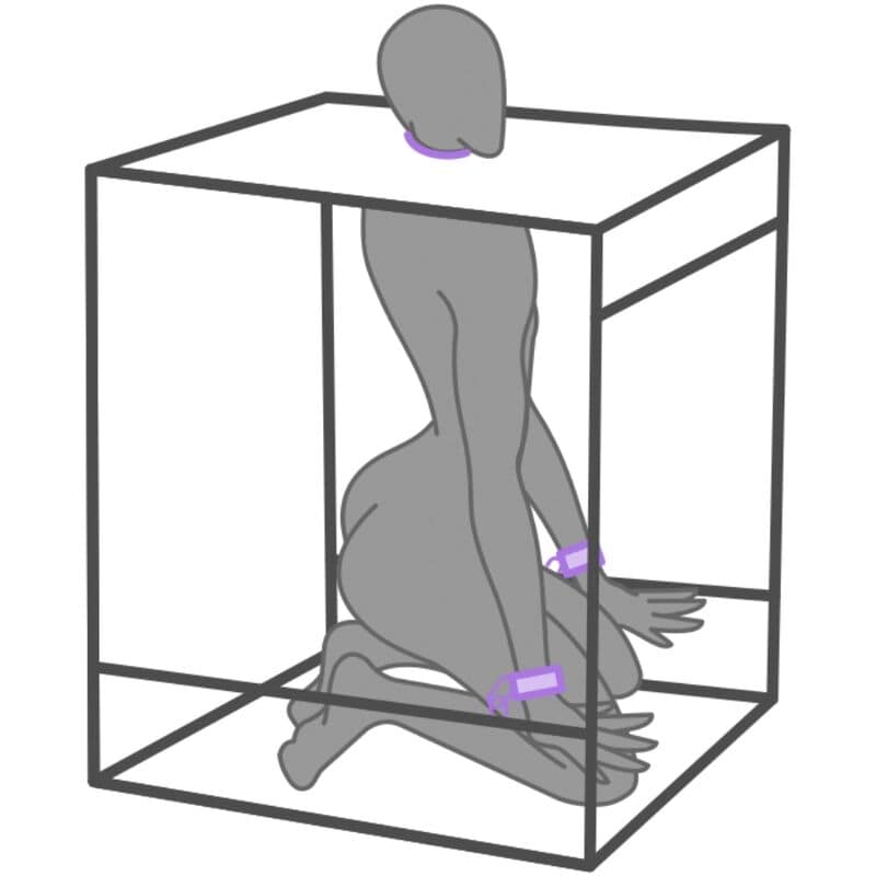 SECRET DOME - KINK CLUB CABINA BUKKAKE MORADO - Bild 3