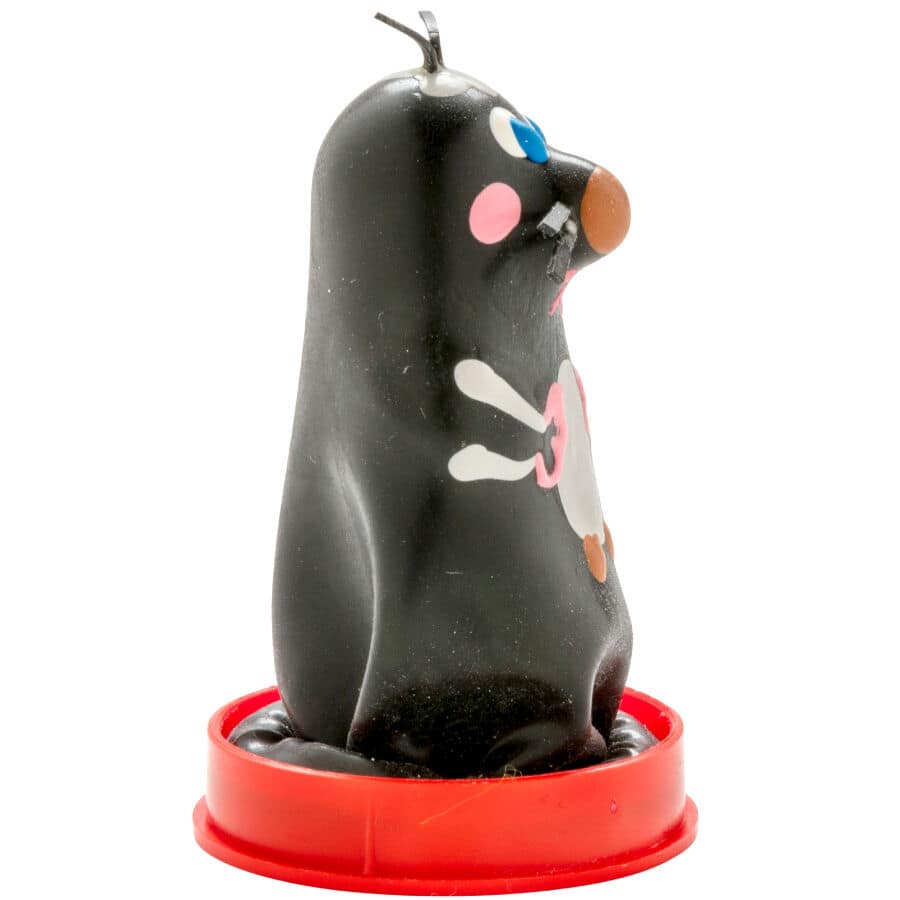 CONDOMERIE - HANDPAINTED NOVELTY CONDOMS MOLE - Image 2