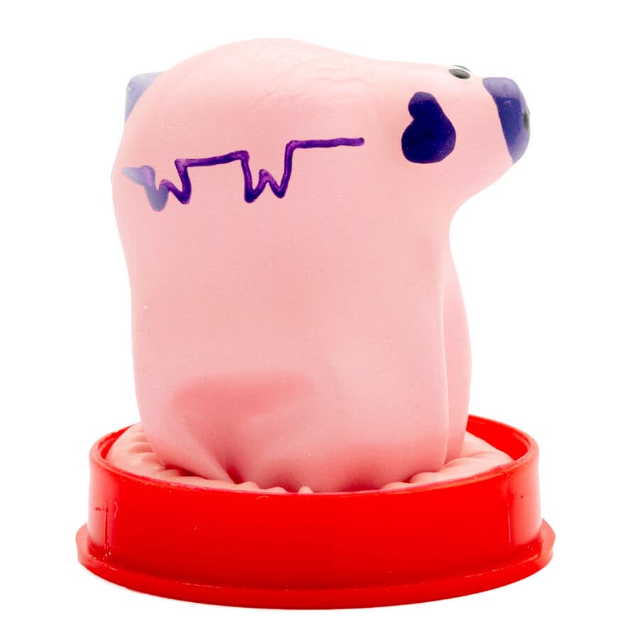 CONDOMERIE - HANDPAINTED NOVELTY CONDOMS SMALL PIG - Image 2