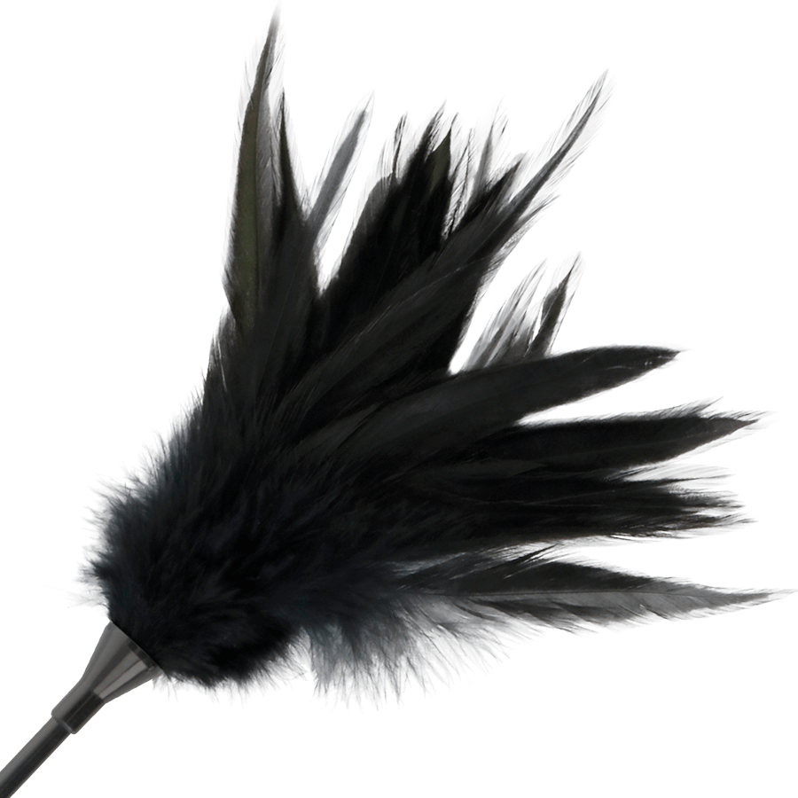 DARKNESS - BLACK FEATHER WHIP - Image 3